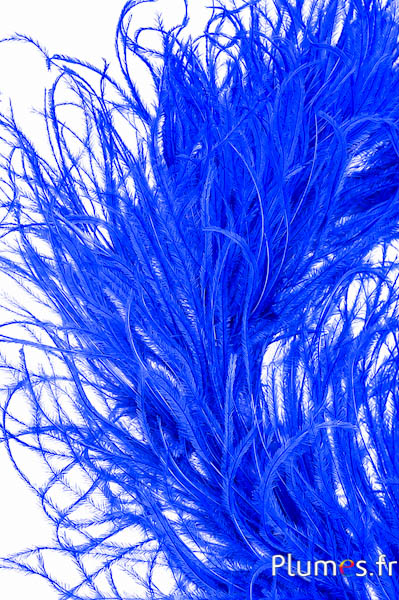 Struzzo ciocca - 10 cm - blu
